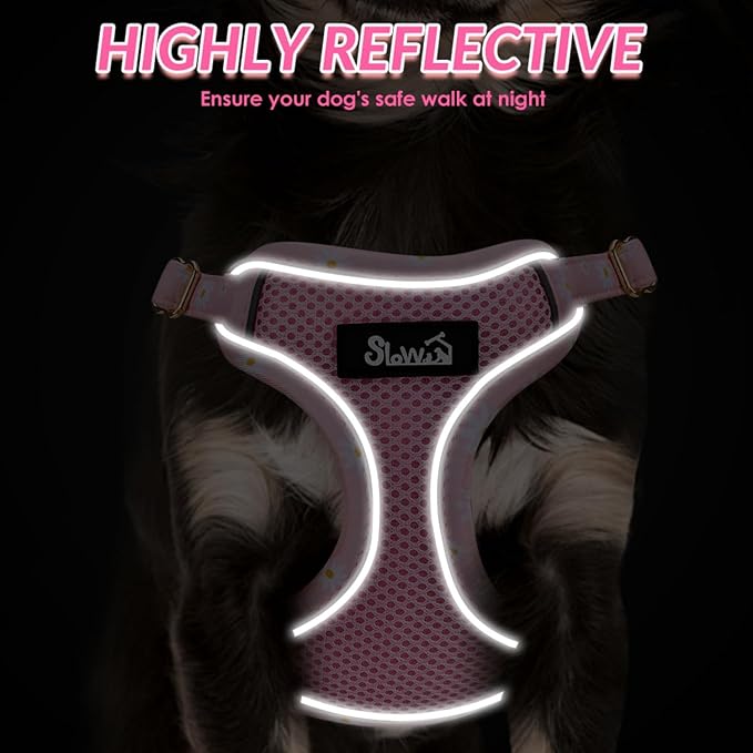 SlowTon Small Dog Harness - No Pull Dog Harness and Leash Set, Soft Mesh Lightweight Puppy Vest Harnesses, Adjustable Pet Harnesses for XXS XS Small Medium Easy Walk Hiking (Pink, XXS)