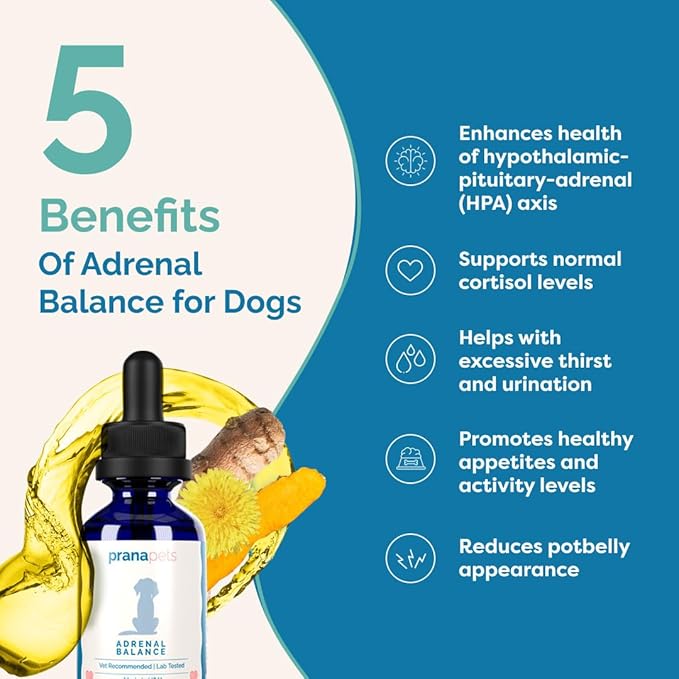 PranaPets Adrenal Balance for Dogs with Cushing’s | Naturally Relieves Symptoms of Cushing's in Dogs | Herbal Formula for Dogs with Cushing’s