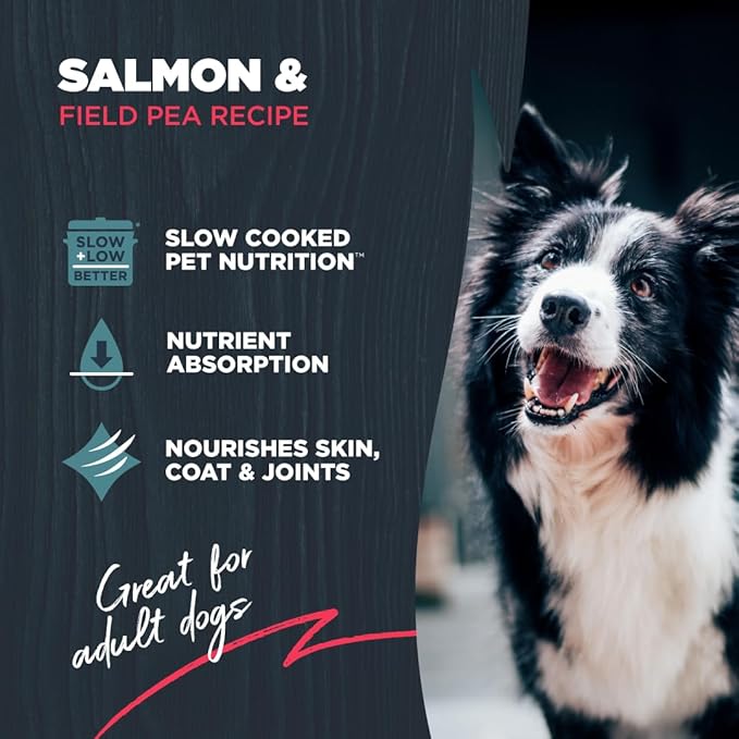 Blackwood Grain Free Dry Dog Food, Salmon & Field Pea Recipe, 24 Pound Bag for All Life Stages, Slow Cooked with Vitamins & Minerals for a Balanced Diet
