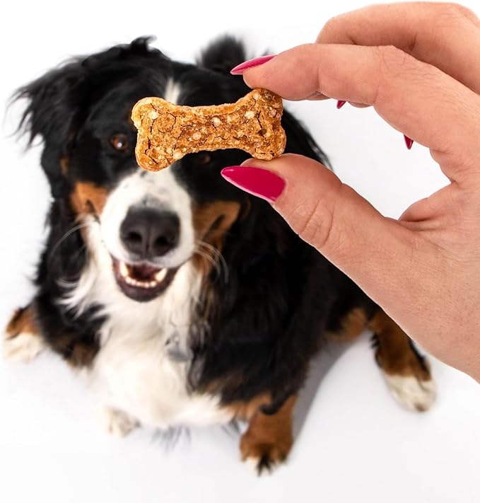 Polkadog Chicken Littles Bone Shaped Dog Treats – Crunchy, All Natural, Limited Ingredient Healthy Treats. Handcrafted & Made in USA. Great for Dogs with Allergies or Sensitive Stomachs – 7oz