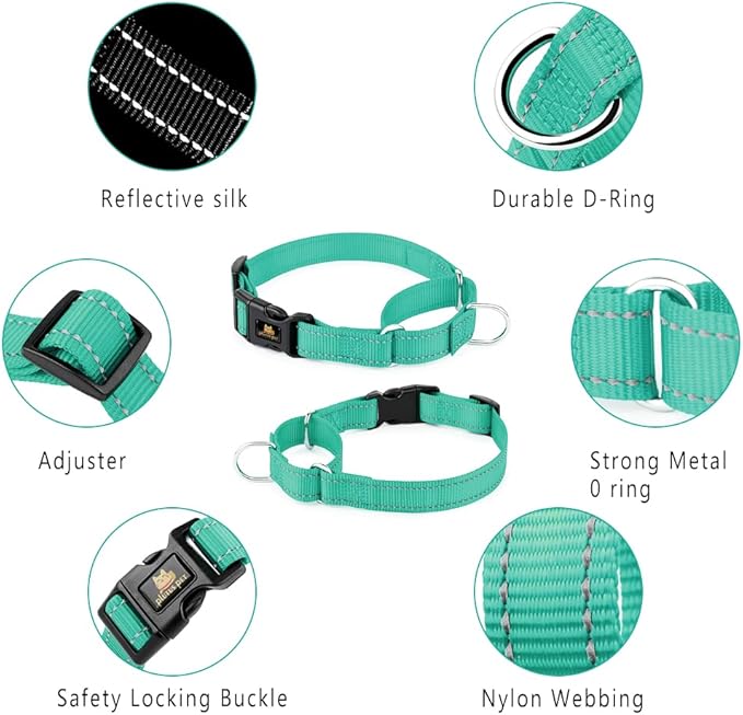 Plutus Pet Reflective Martingale Collar with Buckle - Durable and Adjustable Training Collar for No Pulling, Dog Choker Collar for Small Medium Large Dogs, Teal, L