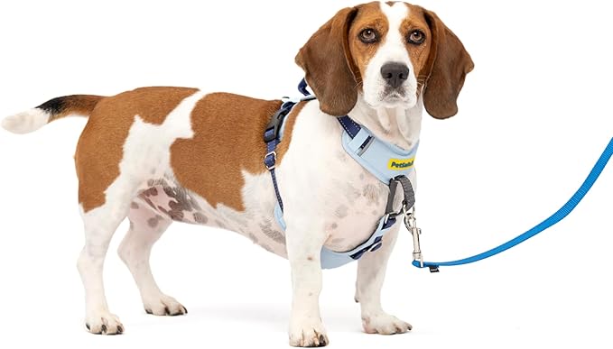PetSafe Easy Walk Comfort No-Pull Dog Harness Full-Body Padding - Better Walks on The First Use - 5 Points of Adjustment Small/Medium, Blue (Pack of 3)
