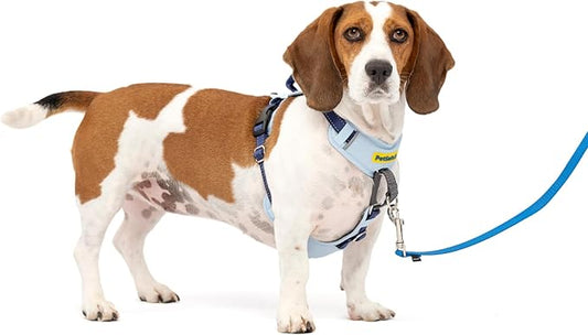 PetSafe Easy Walk Comfort No-Pull Dog Harness Full-Body Padding - Better Walks on The First Use - 5 Points of Adjustment Small/Medium, Blue (Pack of 3)