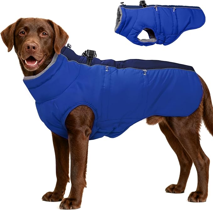 Winter Dog Coat - Zip Up Snowsuit Jacket, Reflective & Water-Resistant, Large (3X), Royal-Blue