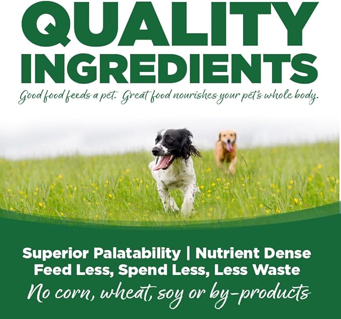 NutriSource Turkey & Rice Recipe Dog Food, Premium Wet Dog Food, 12.3 Ounce (Pack of 12)