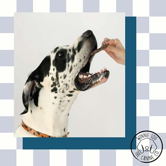 Winnie Lou Elk Jerky Dog Treats – Limited Ingredient, Human Grade, Training Treats for Small, Medium & Large Dogs, Made in USA (2 Pack)