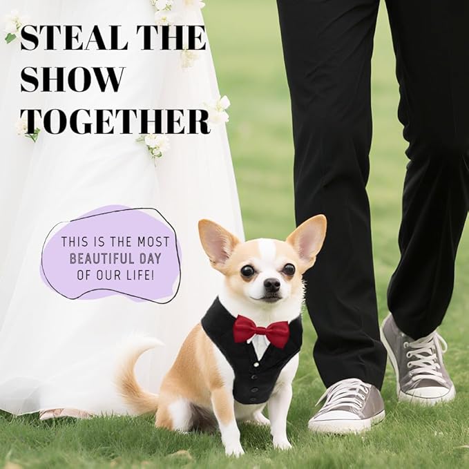 AVERYDAY XS Pet Tuxedo Harness, Wedding Costume Outfit for Small Dogs, Slim Cats and Tiny Pets with 8.3" Neck, 13-14.6" Chest, 10" Max Head Girth, Formal Suit Costume for Mini Breeds