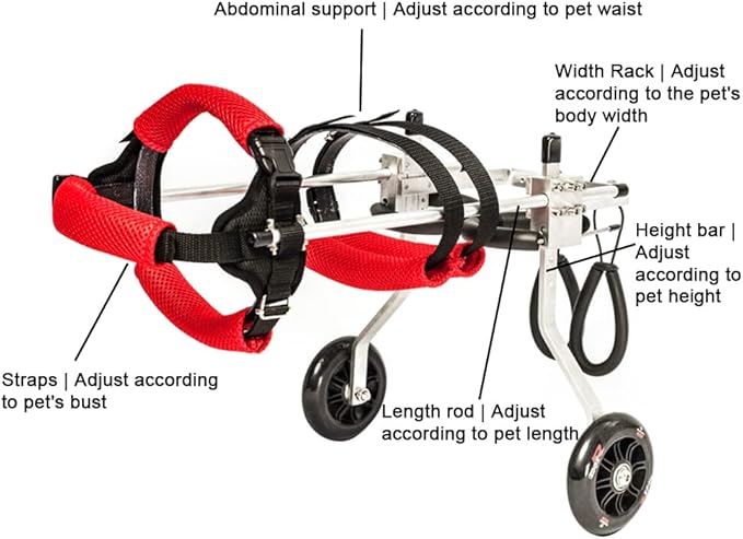 Dog Wheelchair Adjustable Dog Cart Lightweight Pet/Doggie Wheelchairs for Back Legs Assist Small Pets with Paralyzed Hind Limbs to Recover Their Mobility (M) Red