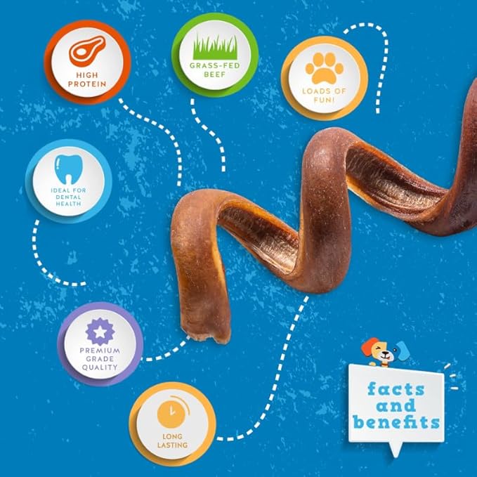 Jack&Pup Bully Springs for Dogs | 7" Spiral Bully Sticks for Dogs | Long Lasting, Stimulating, Odor Free Bully Sticks (1 Ct)
