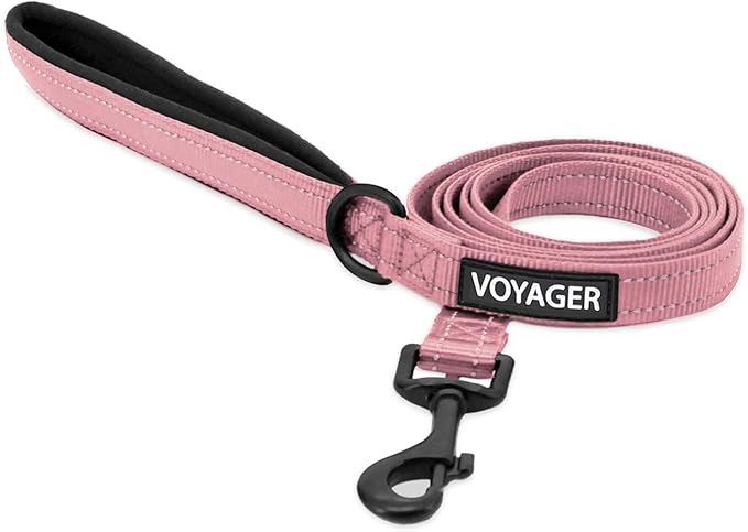 Voyager Reflective Dog Leash with Neoprene Handle, 5ft Long, Supports Small, Medium, and Large Breed Puppies, Cute and Heavy Duty for Walking, Running, and Training - Soft Pink (Leash), M