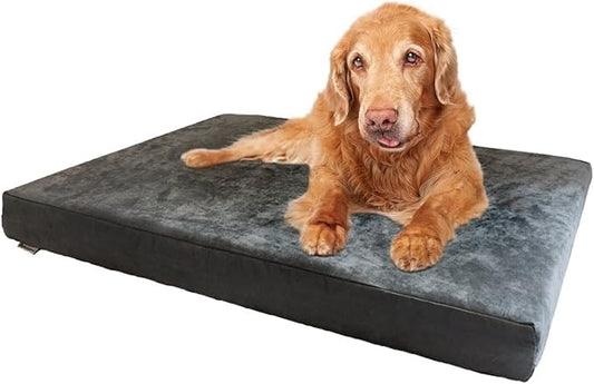 Dogbed4less XXL Orthopedic Gel Infused Cooling Memory Foam Dog Bed for Large Pet, Waterproof Liner, Micro Suede Gray Cover, 55X37X4 Inch