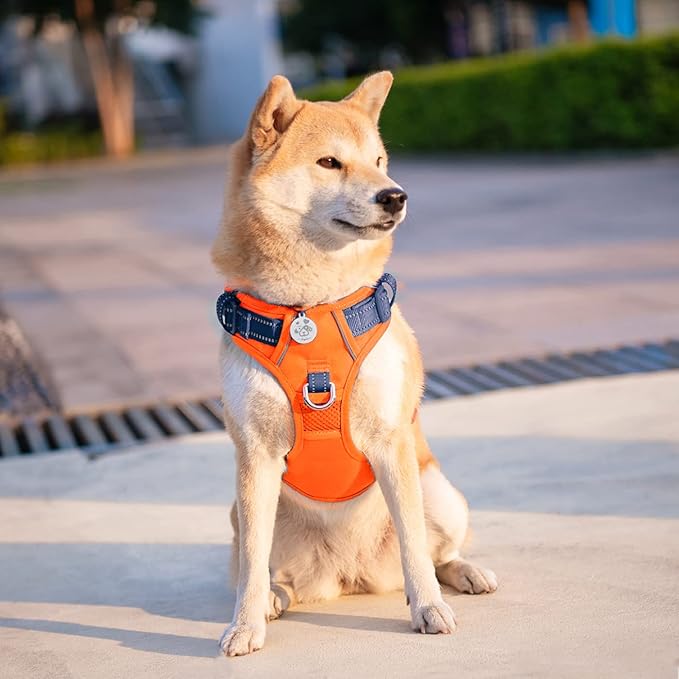 PHOEPET No Pull Dog Harness, Unique Colors Reflective Adjustable Dog Vest, with Soft Training Handle Metal Clips for Small Medium Large Dogs (Orange Base & Blue Straps,L)