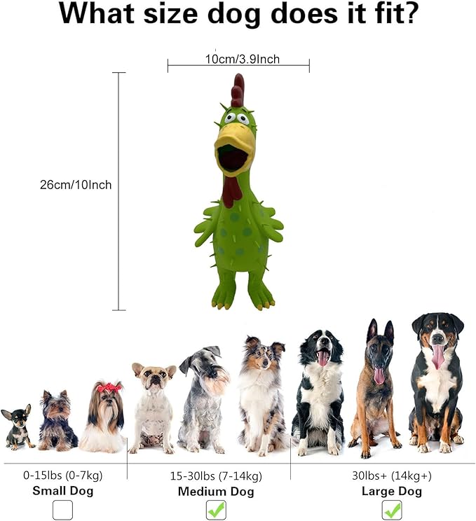 2 Pack 10 Inch Latex Polka dot Burr Chicken Dog Toys That Oinks for Medium Large Dogs