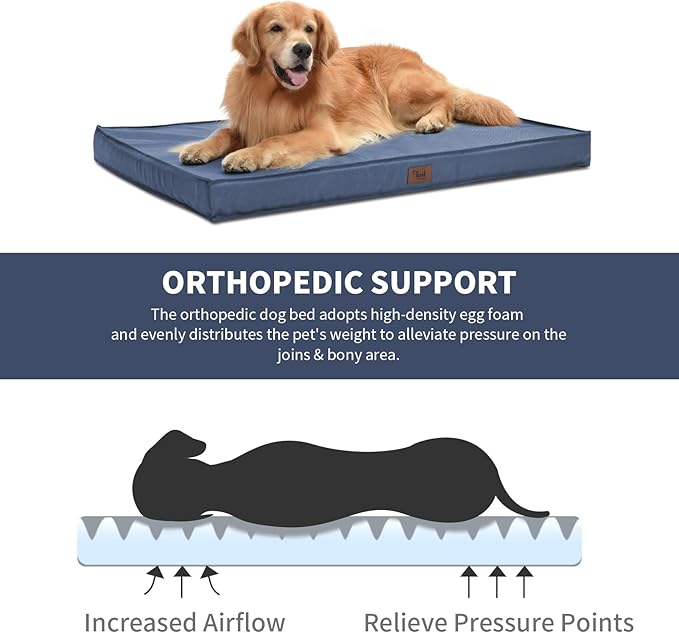 Orthopedic Dog Bed for Medium Dogs - Waterproof Outdoor Protection with Egg Crate Foam, Removable & Machine Washable Oxford Cover, 30x20 Inch, Navy