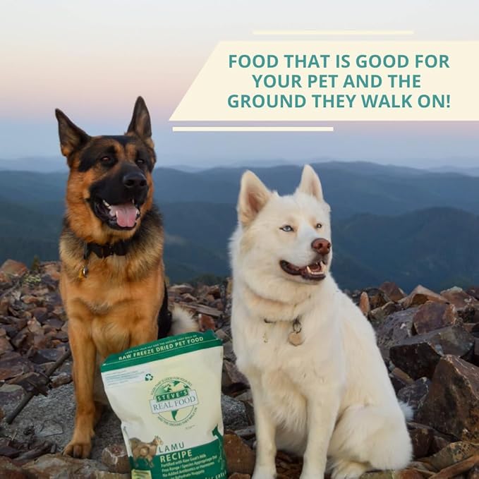 Steve's Real Food Freeze-Dried Raw Nuggets - Lamu Recipe - Raw Pet Food for Dogs and Cats - 20 oz