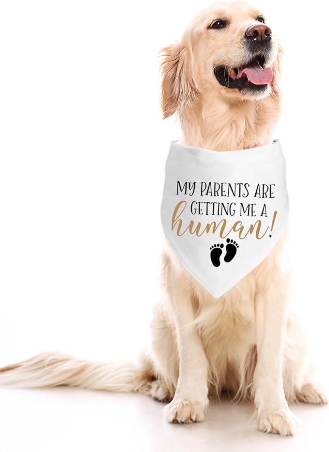 My Parents are Getting me a Human, Pregnancy Announcement Dog Bandana, Gender Reveal Photo Prop Pet Scarf Accessories,Pet Accessories for Dog Lovers (Color)