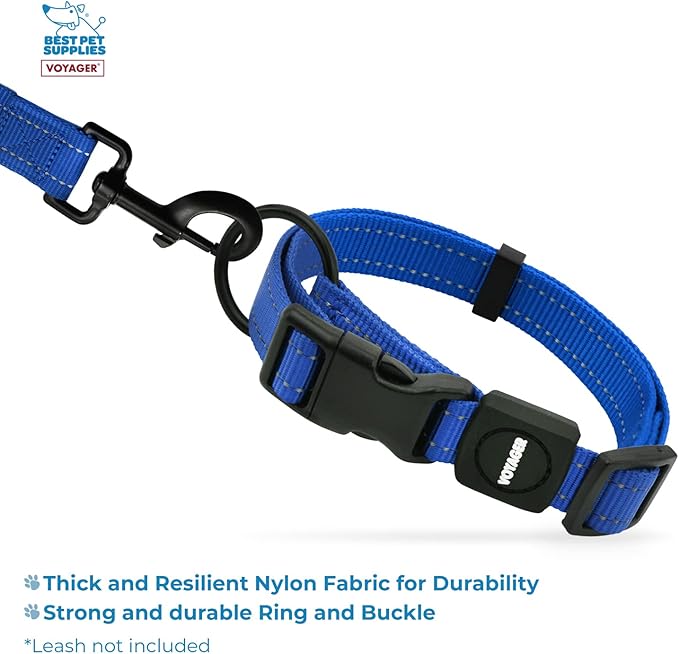 Best Pet Supplies Reflective Dog Collar with Adjustable Length, Heavy-Duty Buckle, and Strong Leash D-Ring, Training, Walking, Jogging Accessory for Small, Medium, and Large Breeds - Royal Blue, M