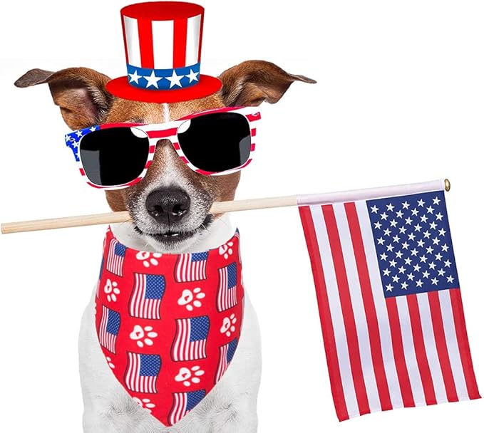 ADOGGYGO American Flag Dog Bandana, Multiple Sizes Offered, Reversible Red Blue Flag Star Scarf, Patriotic 4th of July Bandanas for Small Dogs (Small)