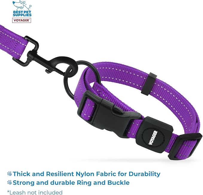 Best Pet Supplies Reflective Dog Collar with Adjustable Length, Heavy-Duty Buckle, and Strong Leash D-Ring, Training, Walking, Jogging Accessory for Small, Medium, and Large Breeds - Purple, L