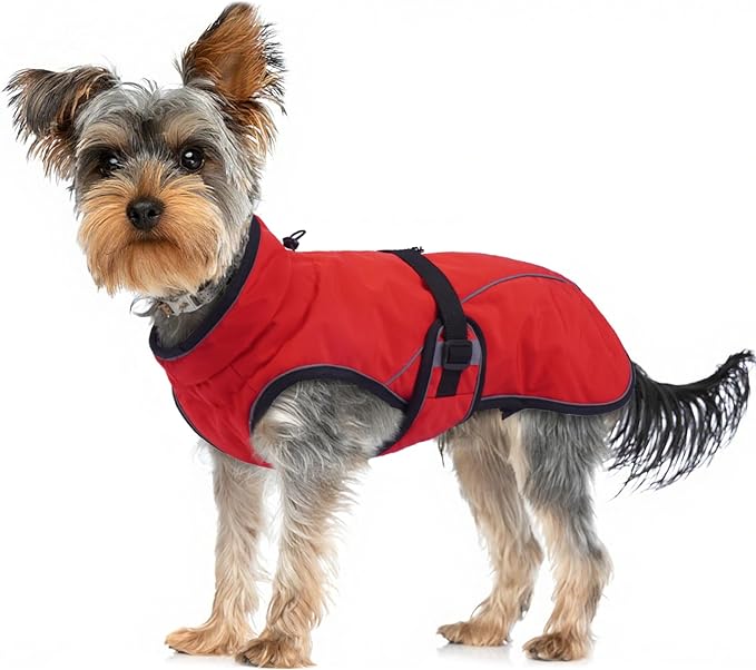 Warm Dog Coat for Winter,Waterproof Jacket with Zipper,Detachable Dog Coat with Adjustable Buckle,Comfortable Jacket for Dogs in Cold and Windy Days.S Red