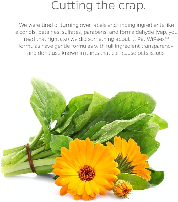 Dog All Purpose + Skin & Coat Pet WiPees™ – 100 All Natural Cleaning & Moisturizing Dog Wipes for Paws, Folds & Fur, Dog Lotion Alternative, Daily Pet Wipes for Skin & Coat Health (Natural, 100ct)