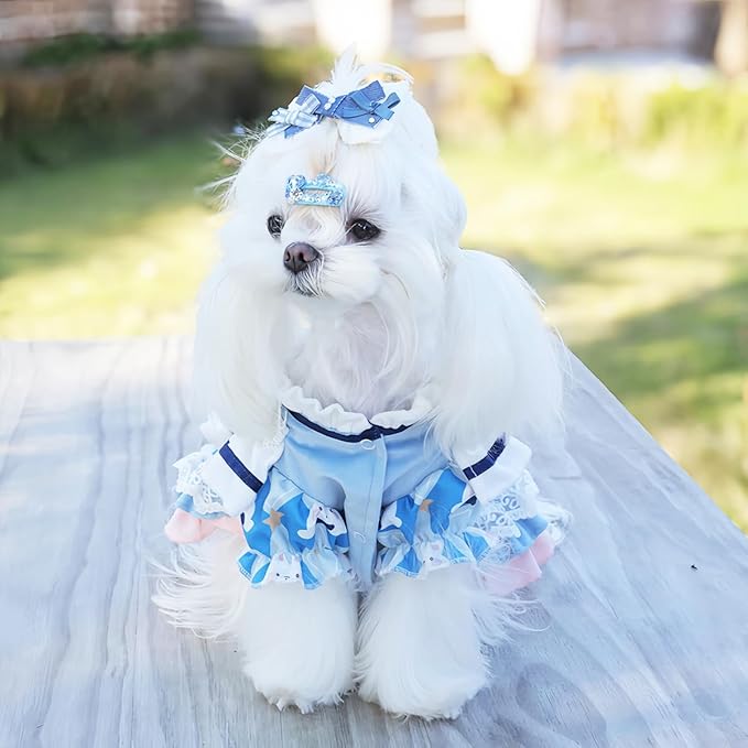 MengYu Puppy Dress Cat Lolita Dress (Sky Blue, XS)