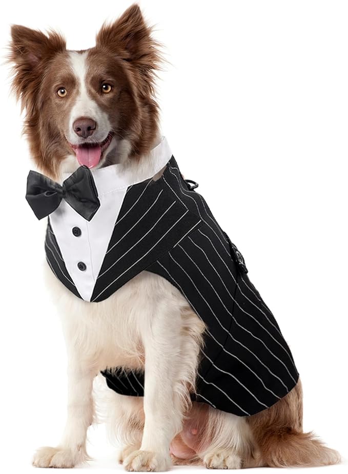 Kuoser Dog Tuxedo Dog Suit and Bandana Set, Dogs Tuxedo Wedding Party Suit, Doggy Prince Bow Tie Shirt Formal Pet Wedding Attire for Large Medium and Small Dogs Golden Retriever Samo Bulldogs
