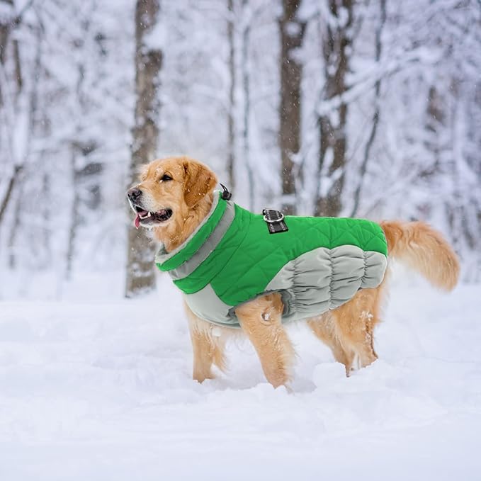 LeLePet Warm Dog Winter Coat, Waterproof, Fleece, Green, X-Small, Turtle Neck, Adjustable, Windproof, for All Breed Sizes