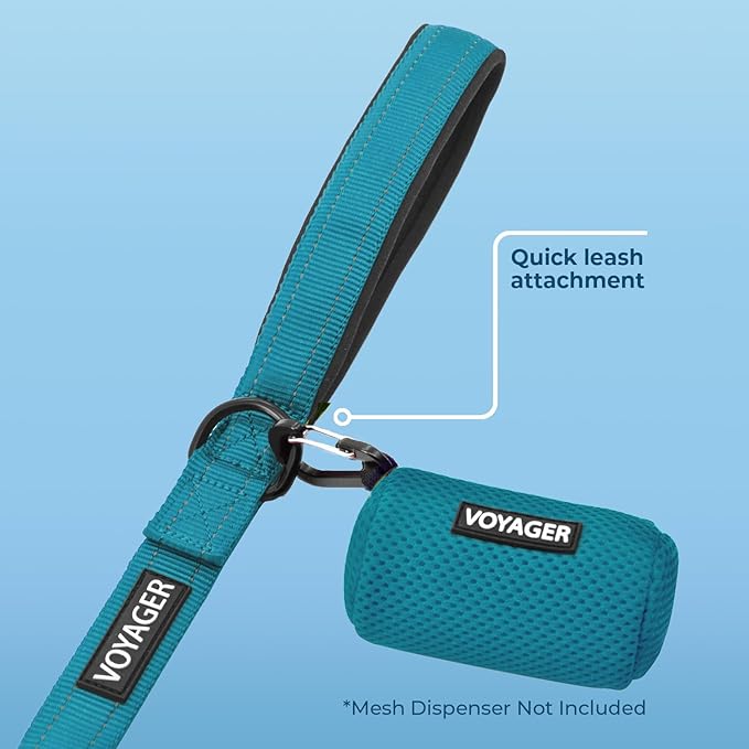 Voyager Reflective Dog Leash with Neoprene Handle, 5ft Long, Supports Small, Medium, and Large Breed Puppies, Cute and Heavy Duty for Walking, Running, and Training - Turquoise (Leash), S