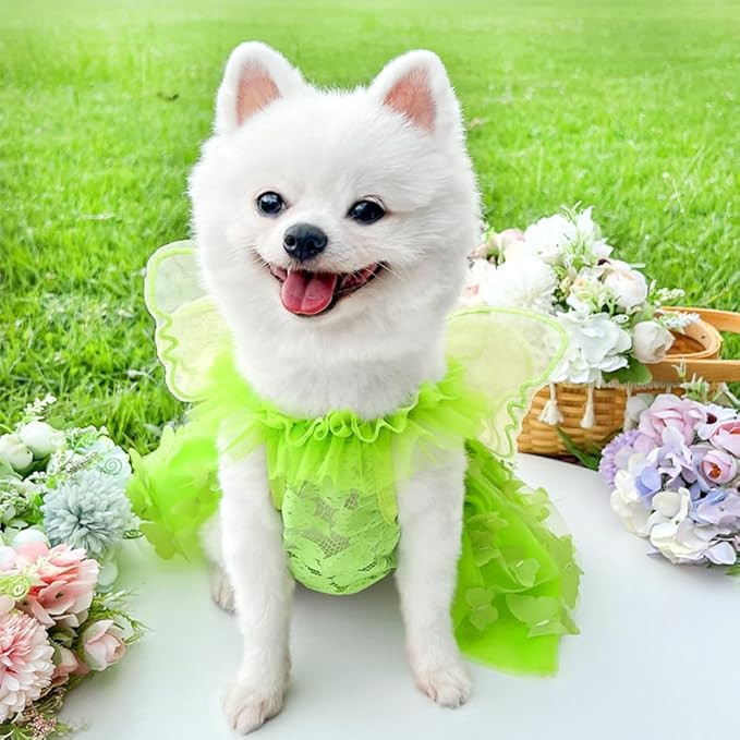 Rainbow Butterfly Dog Dresses for Small Dog Girl Puppy Lace Tutu Princess Dress Cat Outfit Pet Butterfly Costume for Kitten Chihuahua Yorkie Pomeranian (Green, Medium)