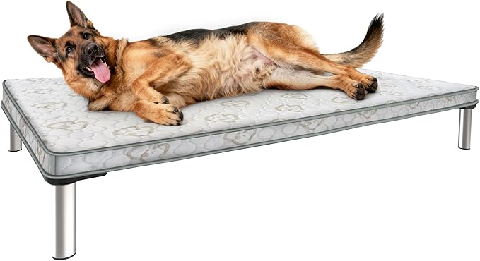 FXW TitanNest Chew-Proof Elevated Dog Bed, Raised Cot for Indoor/Outdoor/Camping Use, Durable & Waterproof Cooling Pet Bed with Exclusive Cover for Large Dogs, 47.0" L x 29.0" W x 7.3" H, Black