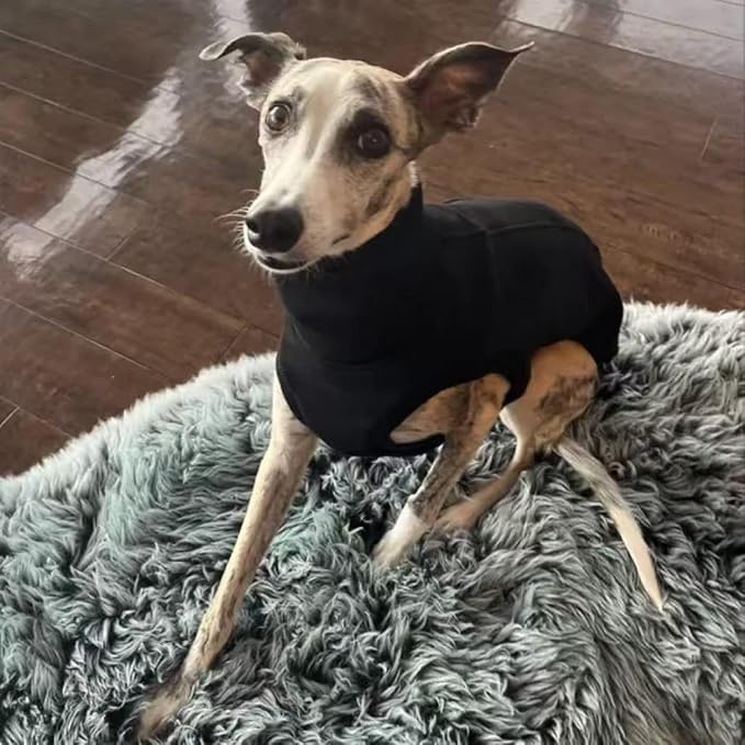 Sweatshirt for Vizsla/Weimaraner/Poodle/Dalmatian/German Dog, Reflective Sleeveless Warm Cotton Clothes for Big Dogs (Black, XXX-Large(Chest 31''. back26''))