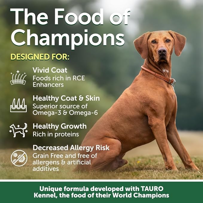 Nature's Protection Grain Free Dry Puppy Food for Small Breed - High Protein & Tear Stain Formula - Small Dog Food Kibble for Red Fur Puppies (Superior Care - Salmon, 22 lb)