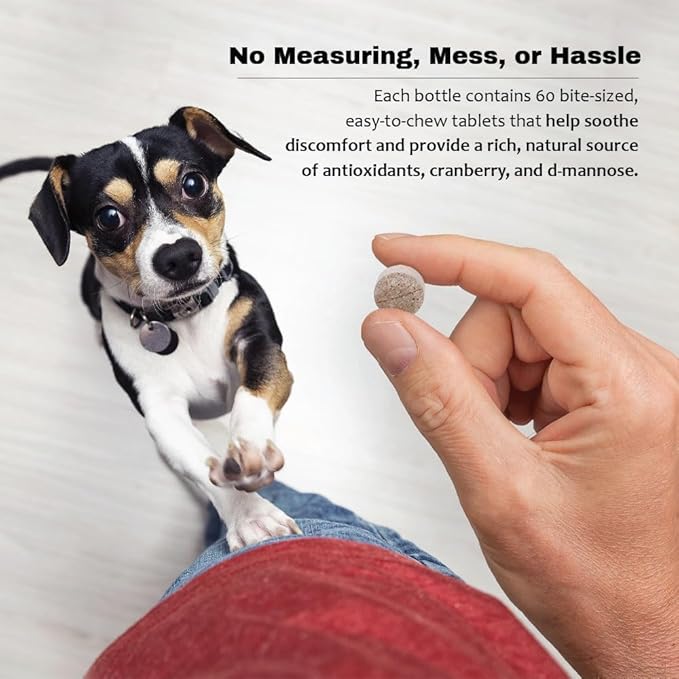 Cranberry D-Mannose Urinary Tract Supplement for Dogs & Cats – Bladder & UTI Health Support – Cranberry Extract, D-Mannose & Vitamin C–Promotes Urinary Wellness & Kidney Function – 60 Chewable Tablets