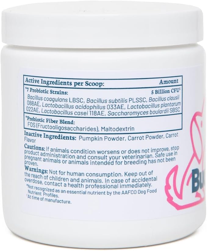 Buddy Biotics Probiotic + Prebiotic for Dogs- Gut Flora Health, Digestive and Immune Health, Diarrhea and Bowel Support – 5 Billion CFU per Scoop