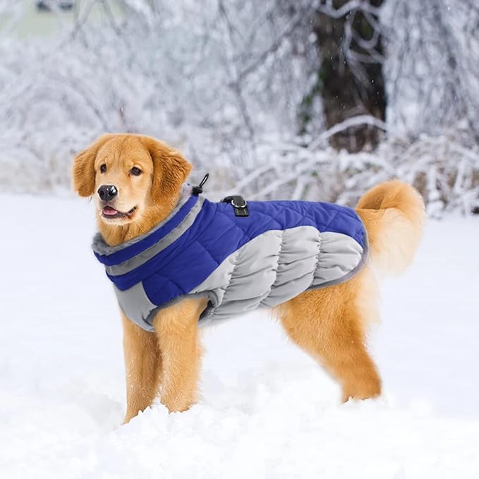 Lelepet Dog Coat Warm Dog Winter Coat Waterproof Dogs Jacket with Harness Built in Reflective Pet Fleece Vest Zip-Up Cold Weather Coats for Medium Dogs Turtleneck & Windproof Coats Dachshund Blue M