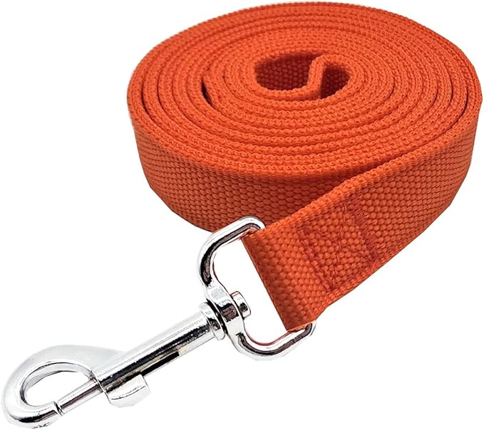 Nylon Dog Leash with 2-Layer, 4 FT/ 6 FT/ 7FT Long, 1 Inch Wide for Medium Large Dogs