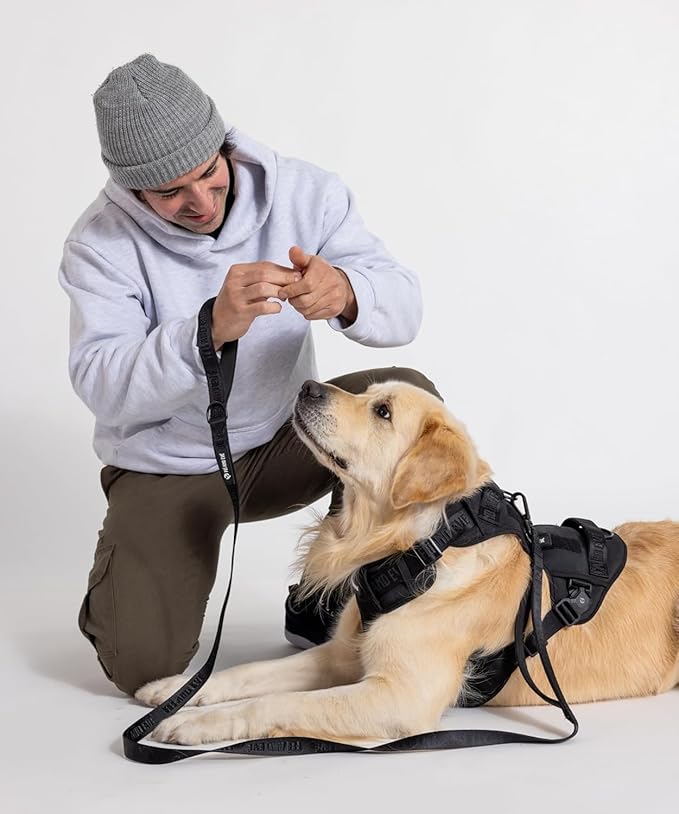 2025 New Edition, Fei & Eve MagEase Dog Harness - 3-Second Magnetic Buckles | 3-Point No-Pull Control | Heavy-Duty 900D Nylon | Dual Safety Handles | Breathable Mesh | Adjustable Fit | Large,Black