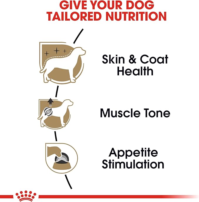 Royal Canin Poodle Adult Breed Specific Wet Dog Food, 3 oz can 4-pack