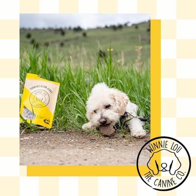 Winnie Lou Turmeric Bison Jerky Dog Treats – Limited Ingredient, Human Grade, Training Treats for Small, Medium & Large Dogs, Made in USA (1 Pack)