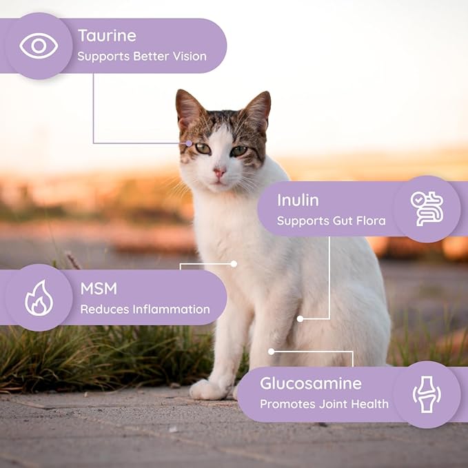 Cat Hydration Electrolyte and Cat Joint Supplement | Hydration Support for Cats w/Glucosamine, Chondroitin, L-Glutamine, Taurine, Lysine & Prebiotics | for Salmon Lovers | 16 Packets