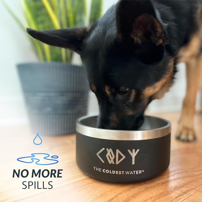 Coldest Dog Bowl - Anti Rust Metal, Non Slip, 3 Layers Insulated Stainless Steel Dog Bowls - Spill Proof & Heavy Duty - Water Bowl for Dogs, Cats & Pets, Dish Washer Safe (200 oz, Stealth Black)