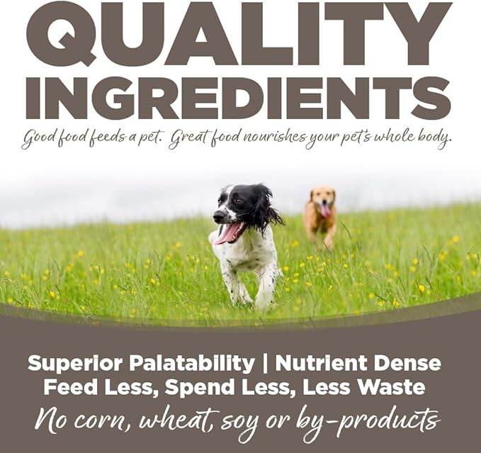 NutriSource Chicken & Rice Senior Dog Food, Premium Wet Dog Food, 12.3 Ounce (Pack of 12)