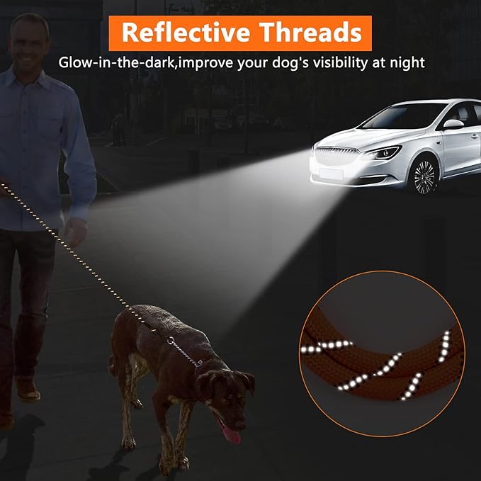 NTR Heavy Duty Large Dog Leash, 30FT Reflective with Swivel Lockable Hook and Comfortable Padded Handle, Puppy Leash for Walking, Hunting, Camping, Backyard for Small Medium and Large Dogs