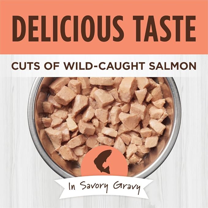 Instinct Healthy Cravings Natural Wet Cat Food Topper, Grain Free Recipe - Real Salmon, 3 oz. Pouches (Pack of 24)