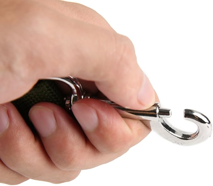 Strong Nylon Dog Leash with 2-Layer, 4 FT/ 6 Feet Long, 1 Inch Wide for Medium Large Dogs (1'' x 5 FT, Green)