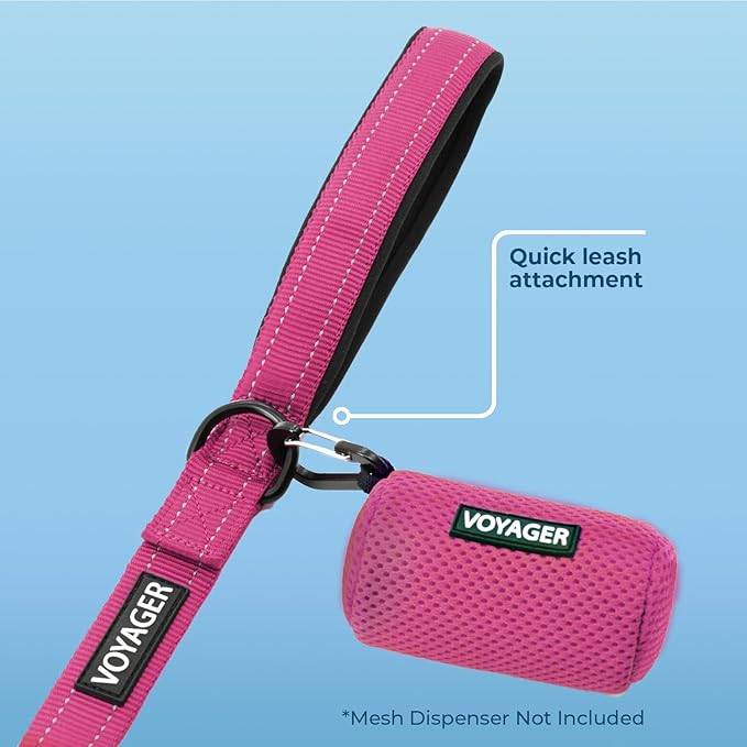 Voyager Reflective Dog Leash with Neoprene Handle, 5ft Long, Supports Small, Medium, and Large Breed Puppies, Cute and Heavy Duty for Walking, Running, and Training - Fuchsia (Leash), S