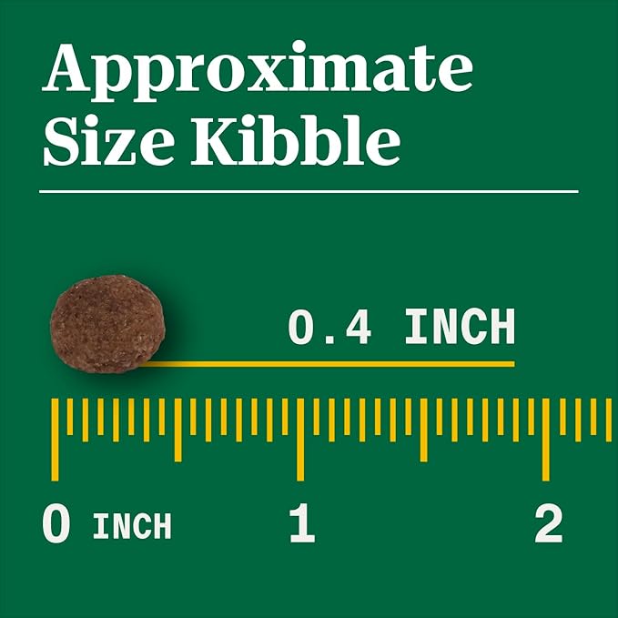 Nutro Natural Choice Adult Dry Dog Food, Lamb and Brown Rice Recipe, 12 lbs.