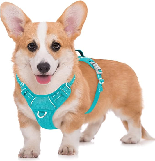 BARKBAY No Pull Dog Harness Large Reflective Dog Harness with Front Clip and Easy Control Handle for Walking Training Running with ID tag Pocket(Ocean Blue,M)