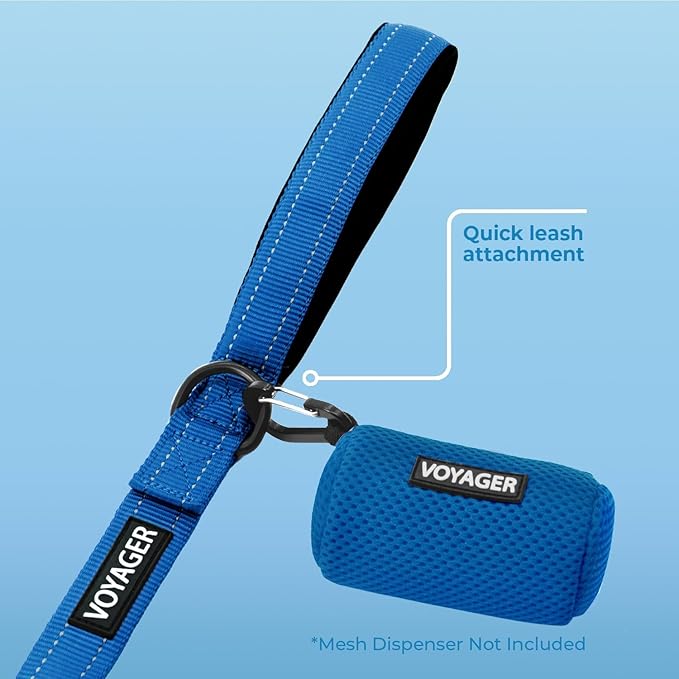 Voyager Reflective Dog Leash with Neoprene Handle, 5ft Long, Supports Small, Medium, and Large Breed Puppies, Cute and Heavy Duty for Walking, Running, and Training - Royal Blue (Leash), S